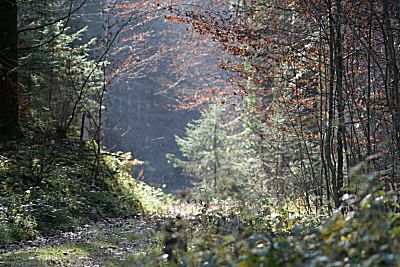 Herbststimmung