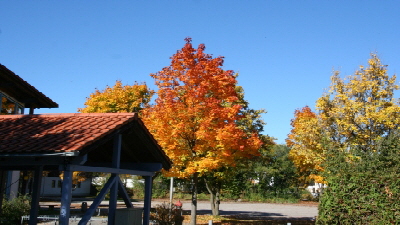 Amerang im Herbst